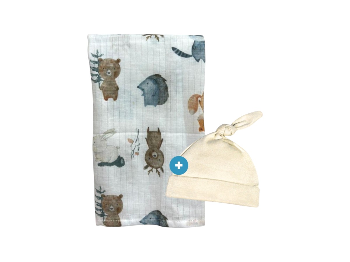 MIBES - 1026505 - Recibidor